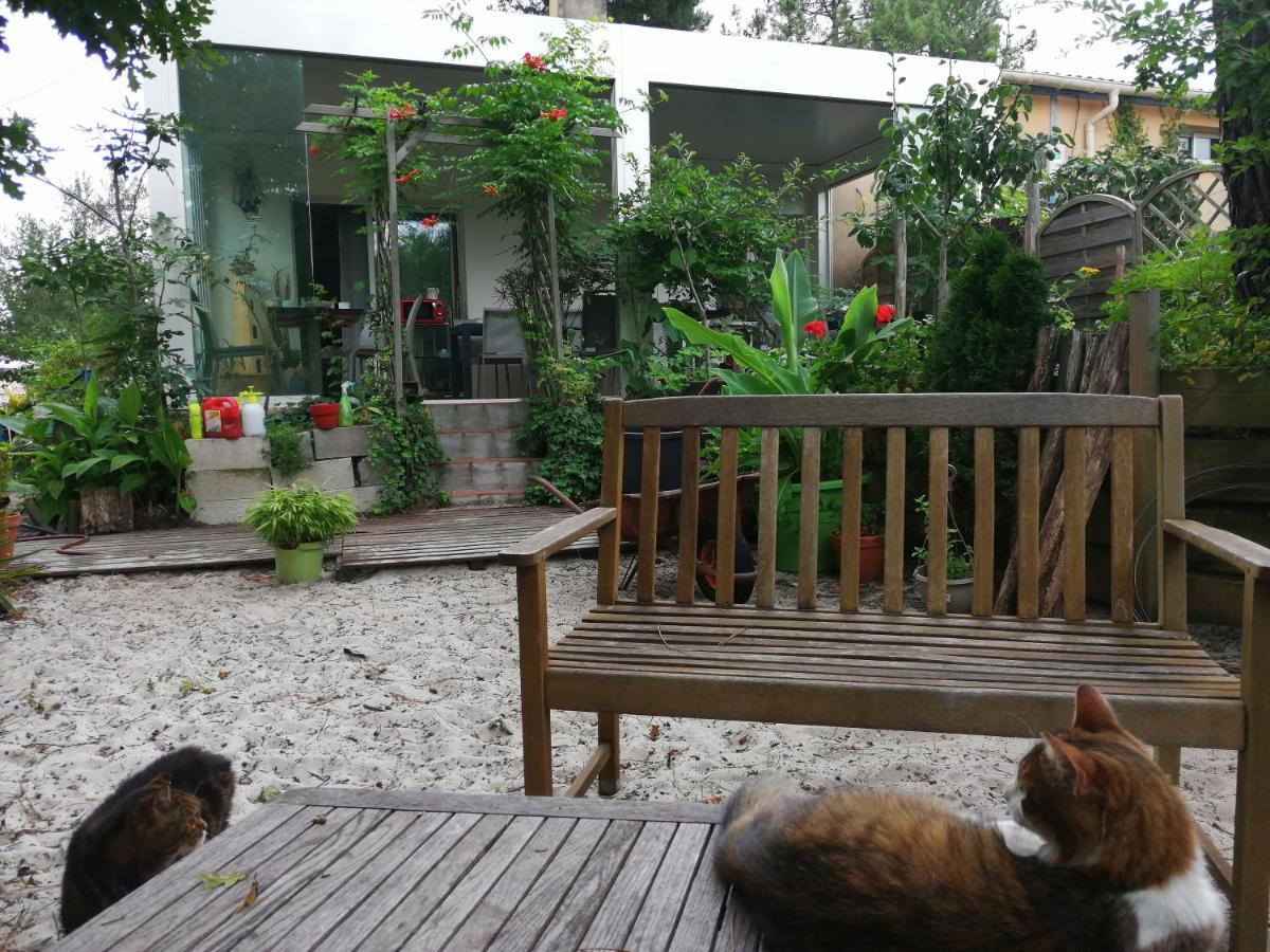 Le Relais De La Praya Bed & Breakfast Lege-Cap-Ferret Luaran gambar