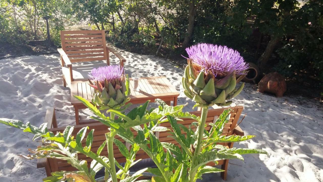 Le Relais De La Praya Bed & Breakfast Lege-Cap-Ferret Luaran gambar
